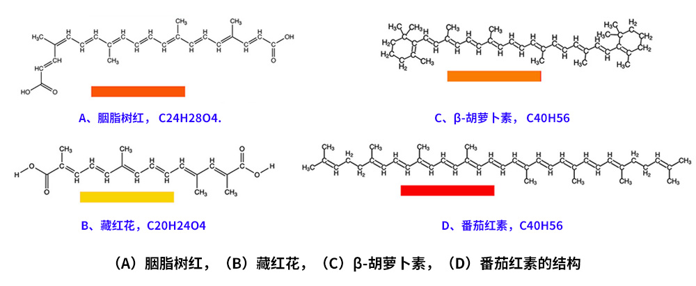 藏红花、胭脂树红、β-胡萝卜素、番茄红素的化学结构