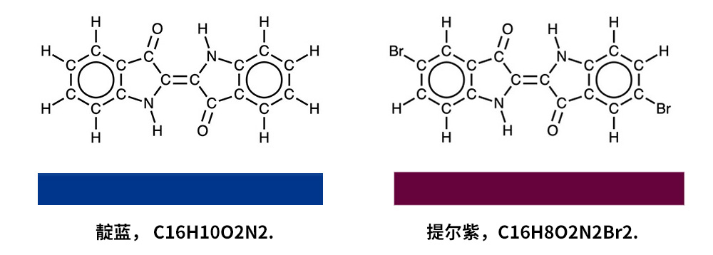 靛蓝和提尔紫的结构